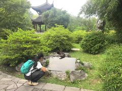 -采石矶景区