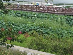 -溧水东庐山服务区-停车场