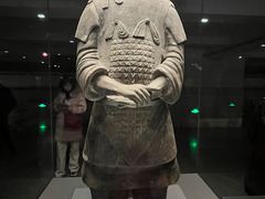 -醉长安(钟楼旗舰店)