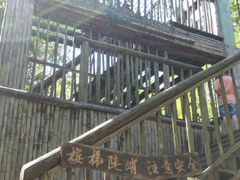 -宁波浙东大竹海景区