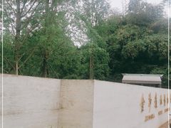 -金沙遗址博物馆