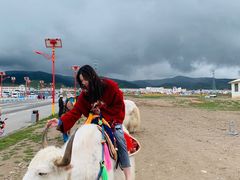 -青海湖国家重点风景名胜区