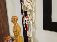 -沐善人家中医·推拿·理疗·三伏灸(新洲店)