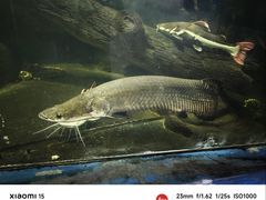 -泉州海丝野生动物世界