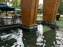 -三亚湾海居铂尔曼度假酒店