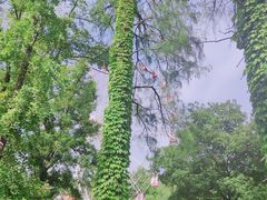 -东湖生态旅游风景区