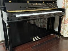 -柏斯琴行(汾阳店)