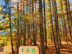 -帽儿山国家森林公园