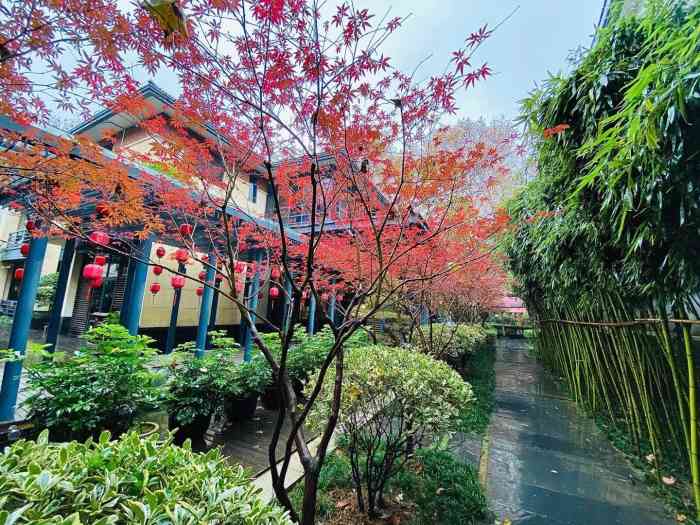 湖滨客舍(东湖店)-"环境挺不错,菜品就价格而言似乎看着不够精.