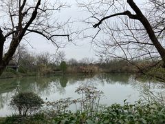 -西溪国家湿地公园