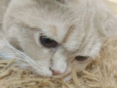 -小时光咖啡馆(开森度假森林店)