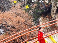 -少华山国家森林公园