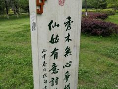 -重庆彩云湖湿地公园