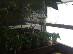 -孙三拨按摩(大纺店)