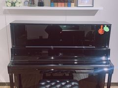 -柏斯琴行(汾阳店)