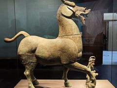 -广西壮族自治区博物馆