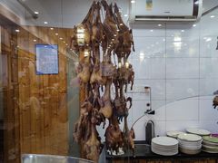 -鸽鸟轩(石岐店)