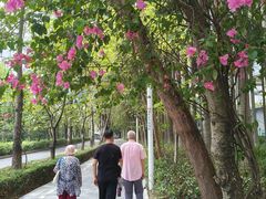 -竹子林(地铁站)