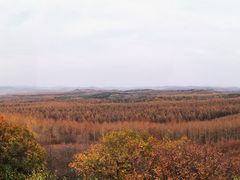 -塞罕坝国家级自然保护区