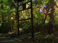 -碧桂园润杨溪谷温泉酒店