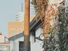 -青果巷历史文化街区