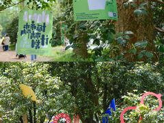 -杭州植物园