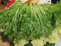 蔬菜拼盘-东镇老火锅(长春路首店)