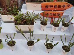 -武汉荟聚