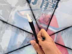 -尖沙咀中国客运码头