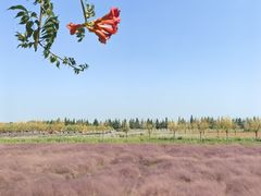 -嘉北郊野公园