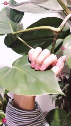 -潮店·虞妃妮轻奢美甲美睫馆