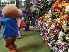 -正佳雨林生态植物园