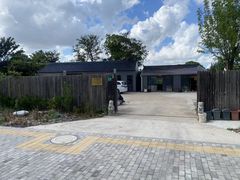 -南汇新场正宗水蜜桃采摘