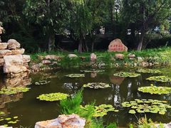 景点-鸽子窝公园