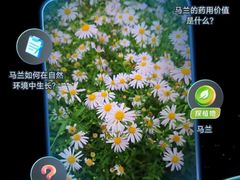 -CGV影城(滨江天街IMAX店)