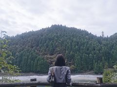 -武陵山森林公园
