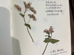 -知物癖(牛王庙店)