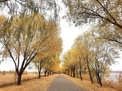 -野鸭湖国家湿地公园