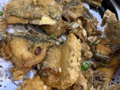 -京门活鱼馆·鱼火锅(百子湾（原红庙）店)