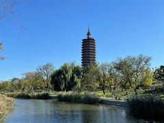 -西海子公园