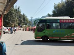 -九龙江国家森林公园