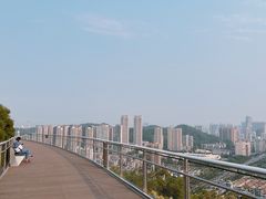 -板樟山森林公园