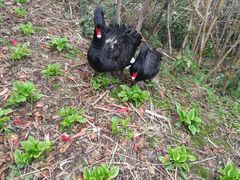 -艾溪湖湿地公园