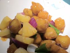 -鸽小宝(深圳首店)