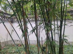 -上海佘山国家森林公园天马山园