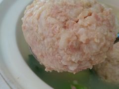 淮阳狮子头-淮扬韵.淮扬味道