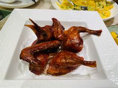 红烧乳鸽-陶陶居酒家(环市东店)