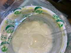 -德禄酸奶(莫家街店)