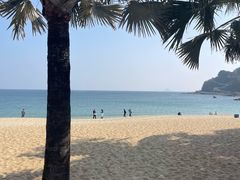 -大梅沙海滨公园