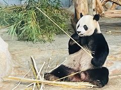 -海南热带野生动植物园